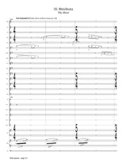 Linthicum-Blackhorse - Mnicakmun for Solo Flute and Wind Ensemble - FB121