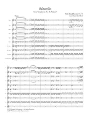 Danzi (arr. Ben-Meir) - Larghetto and Minuetto (Flute, Alto Flute and Bass Flute) - MEG083