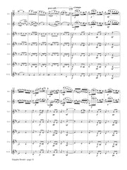 Doppler (arr. Johnston) - Rondo, Op. 25 for Two Flutes and Clarinet Choir - CC235