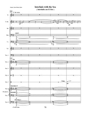 Osmon - A Sea of Seven Colors for Chamber Ensemble - CM281