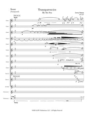 Osmon - Transparencies (By the Sea) for Chamber Ensemble - CM286