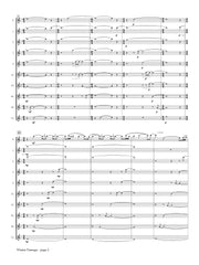 Kahkonen - Winter Passage for Flute Choir - FC558