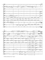 Doppler (arr. Johnston) - Andante and Rondo, Op. 25 (Solo Flutes and Flute Choir) - FC632
