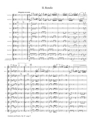 Doppler (arr. Johnston) - Andante and Rondo, Op. 25 (Solo Flutes and Flute Choir) - FC632