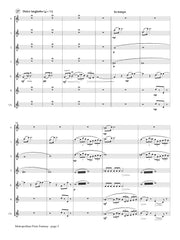 Long - Metropolitan Flute Fantasy for Flute Choir - FC635