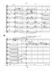 Medina - Selkies for Flute Choir - FC696