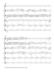 Kahkonen - Eventide for Low Flute Choir - FC915