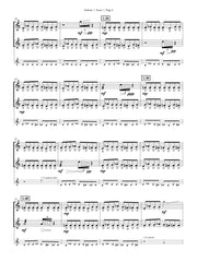 Bassingthwaighte - Iridium for Two Flutes and Electronics - FD44