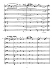 Chopin (arr. Monroe) - Variations on a Theme by Rossini for Solo Flute and Flute Choir - FE-C1