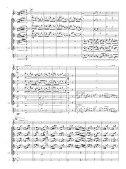 Monroe - Variations on an Ancient Pavane for Flute Choir - FE-M5