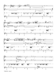 Register - Nightbirds for Flute, Alto Flute, Percussion, and Guitar - FG50