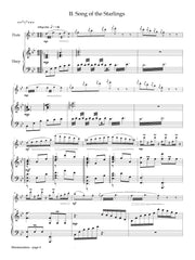 Grady - Murmuration for Flute and Harp - FH55