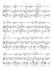 Lann - Sea Glass for Flute and Piano - FP215