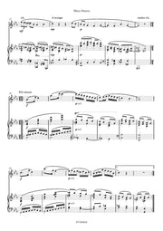 Chatrou - Misty Shores for Flute and Piano - FP7959EM