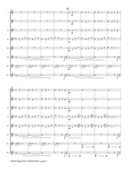 Dufeutrelle - Barrel Organ for Flute Choir - FC908