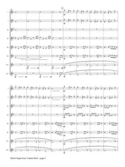 Dufeutrelle - Barrel Organ for Flute Choir - FC908
