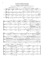 Ives (arr. Mutter) - Selections from 114 Songs for Flute Quartet - FQ93