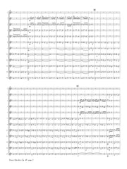 Saint-Saens (arr. Ben-Meir) - Danse Macabre for Flute Orchestra - MEG124