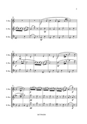 Brahms (arr. Steenhuyse-Vandevelde) - Hongaarse Dans nr. 5 for Recorder Trio - RCT7965EM