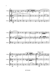 Brahms (arr. Steenhuyse-Vandevelde) - Hongaarse Dans nr. 5 for Recorder Trio - RCT7965EM