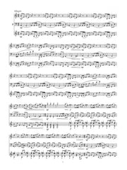 Febonio - Watertown Dances for Alto Flute, Bass Clarinet, and Guitar - TF10