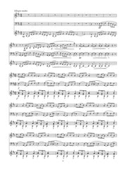 Febonio - Watertown Dances for Alto Flute, Bass Clarinet, and Guitar - TF10