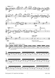 van Dal-Kleijne - Pandora for Violin - VL121080DMP