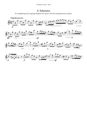 Palaschko (ed. Johnston) - 14 Melodic Studies, Op. 86 for Alto Flute - A35