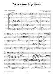 Telemann (arr. Carlier) - Triosonate in A - BR9669DMP