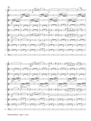 Strauss (arr. Johnston) - Perpetual Motion for Clarinet Choir - CC204