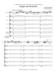 Cavallini (arr. Johnston) - Adagio and Tarantella (Solo Clarinet and Clarinet Choir) - CC247