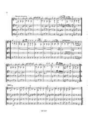 Haydn (arr. Van Puijenbroeck) - Quartet in D Major (D-Dur) for Lute, Violin, Viola and Cello - CM14013EM