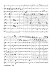 Saint-Saens (arr. Johnston) - Tarantella, Op. 6 for Flute, Clarinet (in A) and Clarinet Choir - CS105