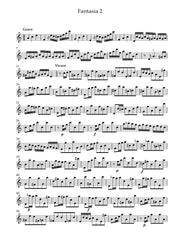 Telemann (ed. Brabants) - Twelve Fantasias for Solo Flute - F210101UMMP