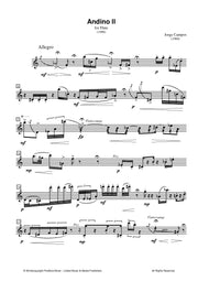 Campos - Andino II for Solo Flute - F3242PM