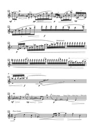 Campos - Andino II for Solo Flute - F3242PM