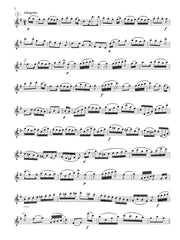Berens (ed. Lynn) - The Magic Flute, Potpourri pour la Flûte - F45