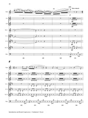 Saint-Saens (trans. Nishimura) - Introduction and Rondo Capriccioso (Solo Flute and Wind Ensemble) - FB105