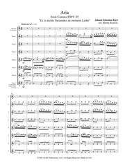 Bach - Aria from Cantata BWV 25 for Flute Choir - FC08