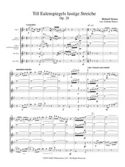 Strauss (arr. Hinze) - Till Eulenspiegels lustige Streiche (Flute Quintet) - FC350