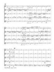 Saint-Saens (arr. Hinze) - Danse Macabre (Flute Quintet) - FC372