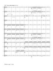 Molnar-Suhajda - Talisman (Flute Choir) - FC373