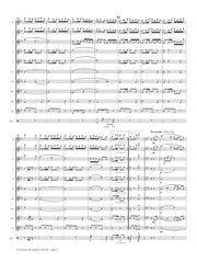 Wheeler (arr. Johnston) - A Summer Evening in Hawaii for Flute Choir - FC384