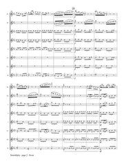 Golinsky - Serendipity for Flute Choir - FC434