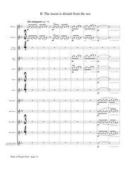 Molnar-Suhajda - Paths of Deeper Gold (Flute Choir) - FC440
