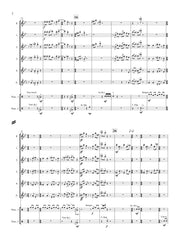 Cichy - Musings for Flute Choir and Percussion - FC469