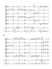 Cichy - Musings for Flute Choir and Percussion - FC469