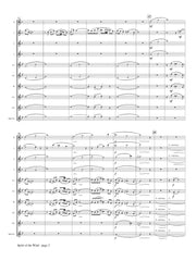 Molnar-Suhajda - Spirit of the Wind for Flute Choir - FC479