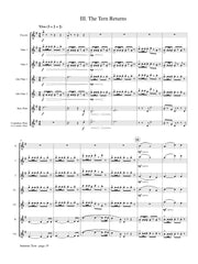 Eads - Summer Tern for Flute Choir - FC499