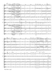 Verdi (arr. Hinze) - Valzer Duetto for Flute Choir - FC544